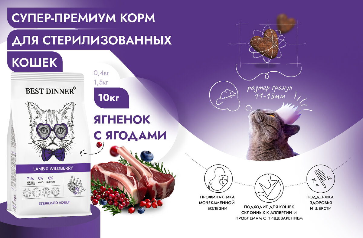 Best Dinner Adult Sterilised Lamb & Wildberry