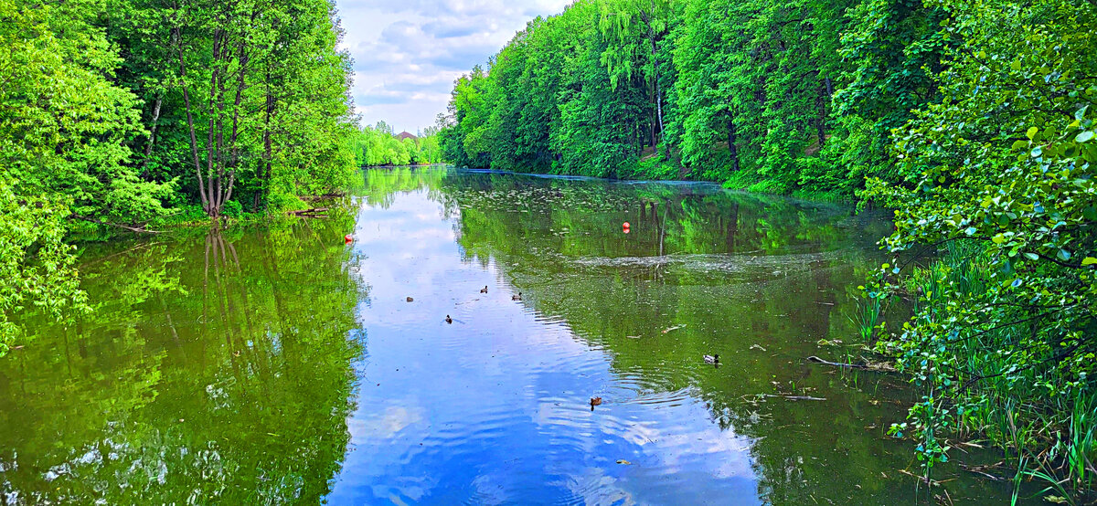 Фото принадлежит автору канала.