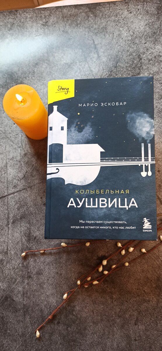 "Колыбельная Аушвица" Марио Эскобар. Издательство БОМБОРА, Москва 2023 год. Фото автора канала