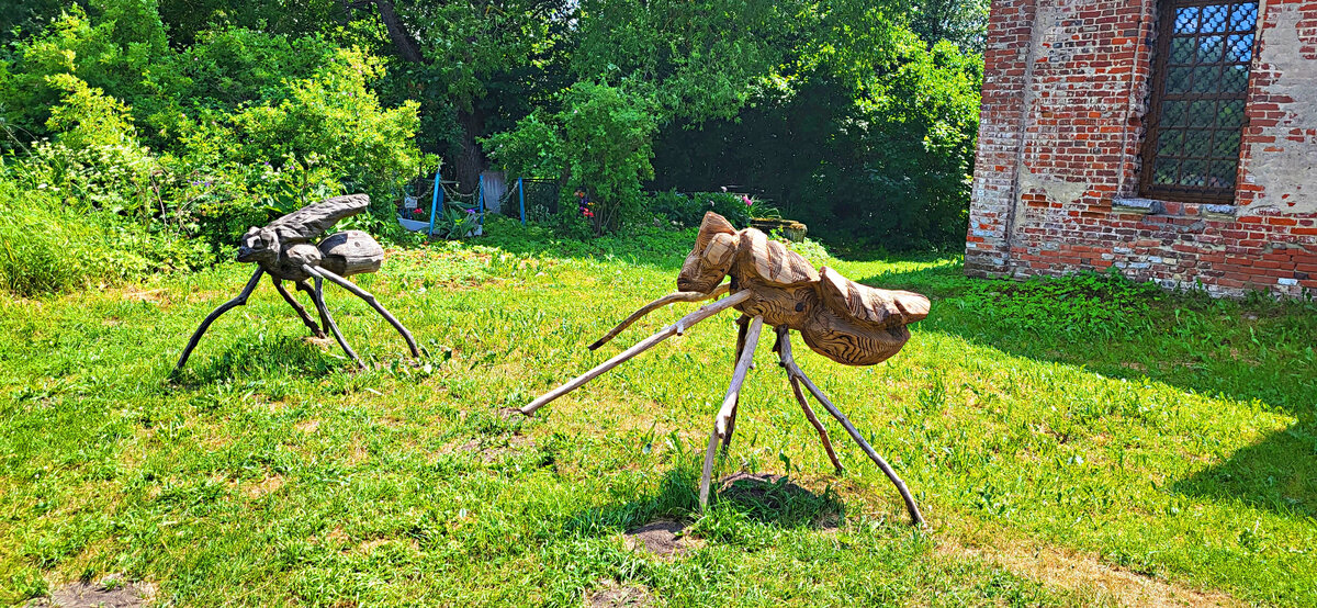 Фото принадлежит автору канала. Оно не имеет непосредственного отношения к описываемым событиям.