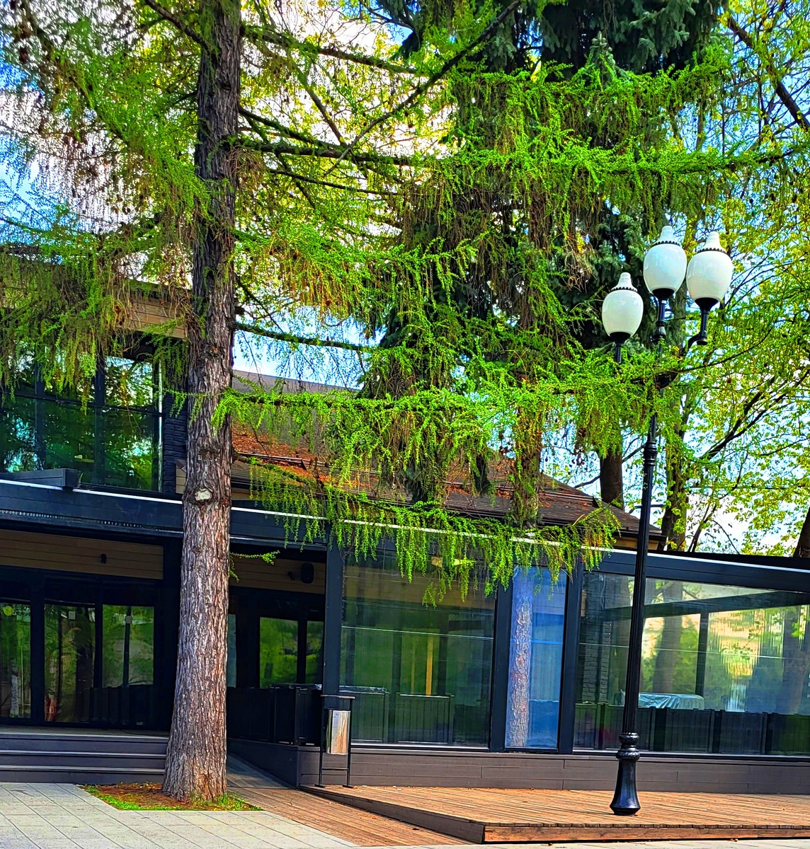 Фото принадлежит автору канала. Оно не имеет непосредственного отношения к повествованию.