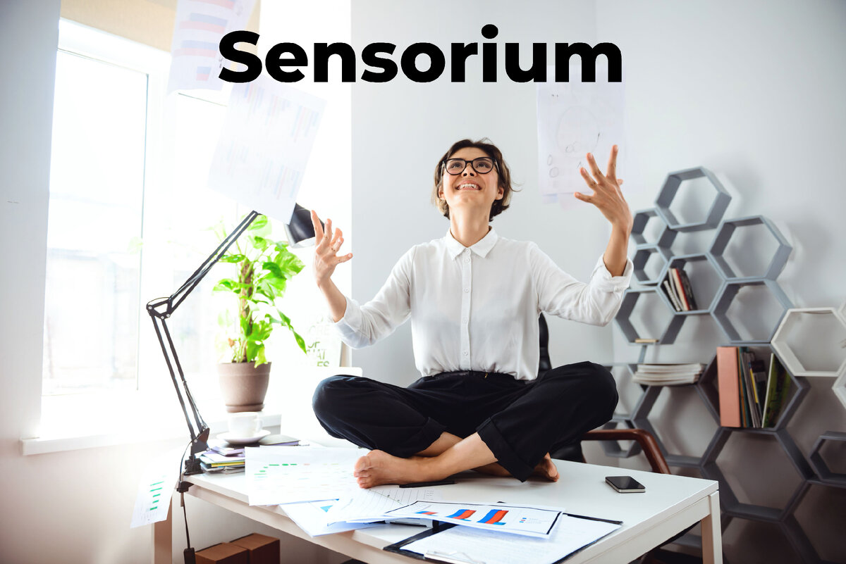 Sensorium: путь к гармонии тела и духа | Учимся без границ | Дзен