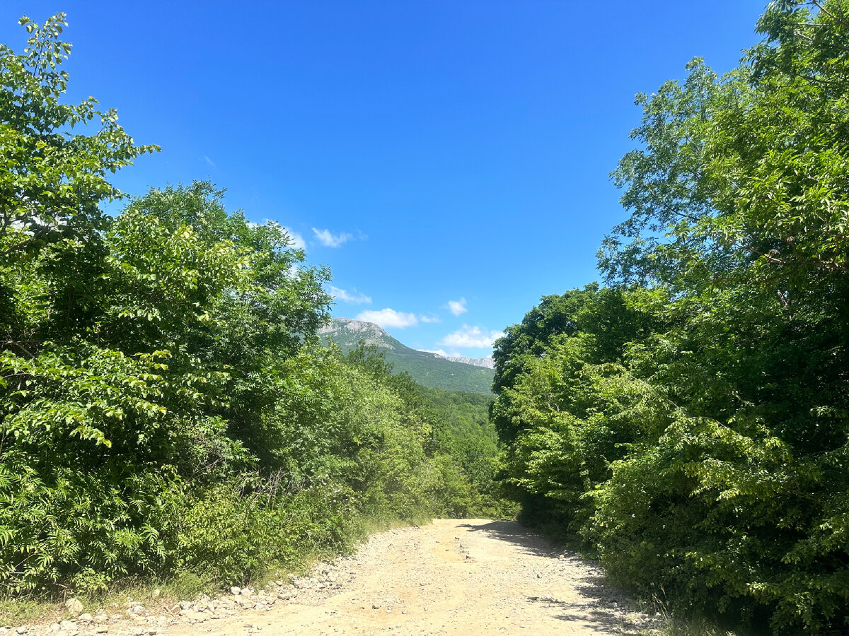Тропа ведущая к водопаду Джур-Джур