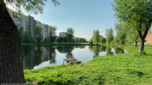 Карпатский сквер - тихий зелёный уголок на Юге города