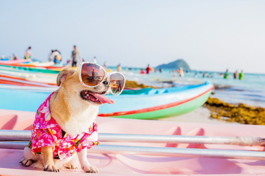источник фото: https://img.7ya.ru/pub/img/22360/thinkstockphotos-531058808.jpg