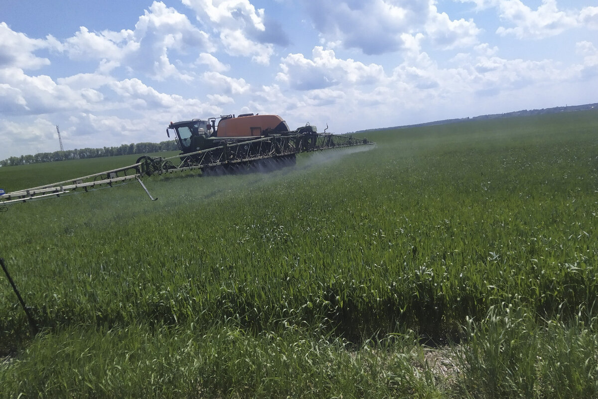 Фото: Официальный сайт губернатора и правительства Курской области