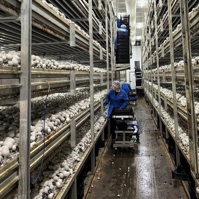 Фото: vk.com/igs_agro