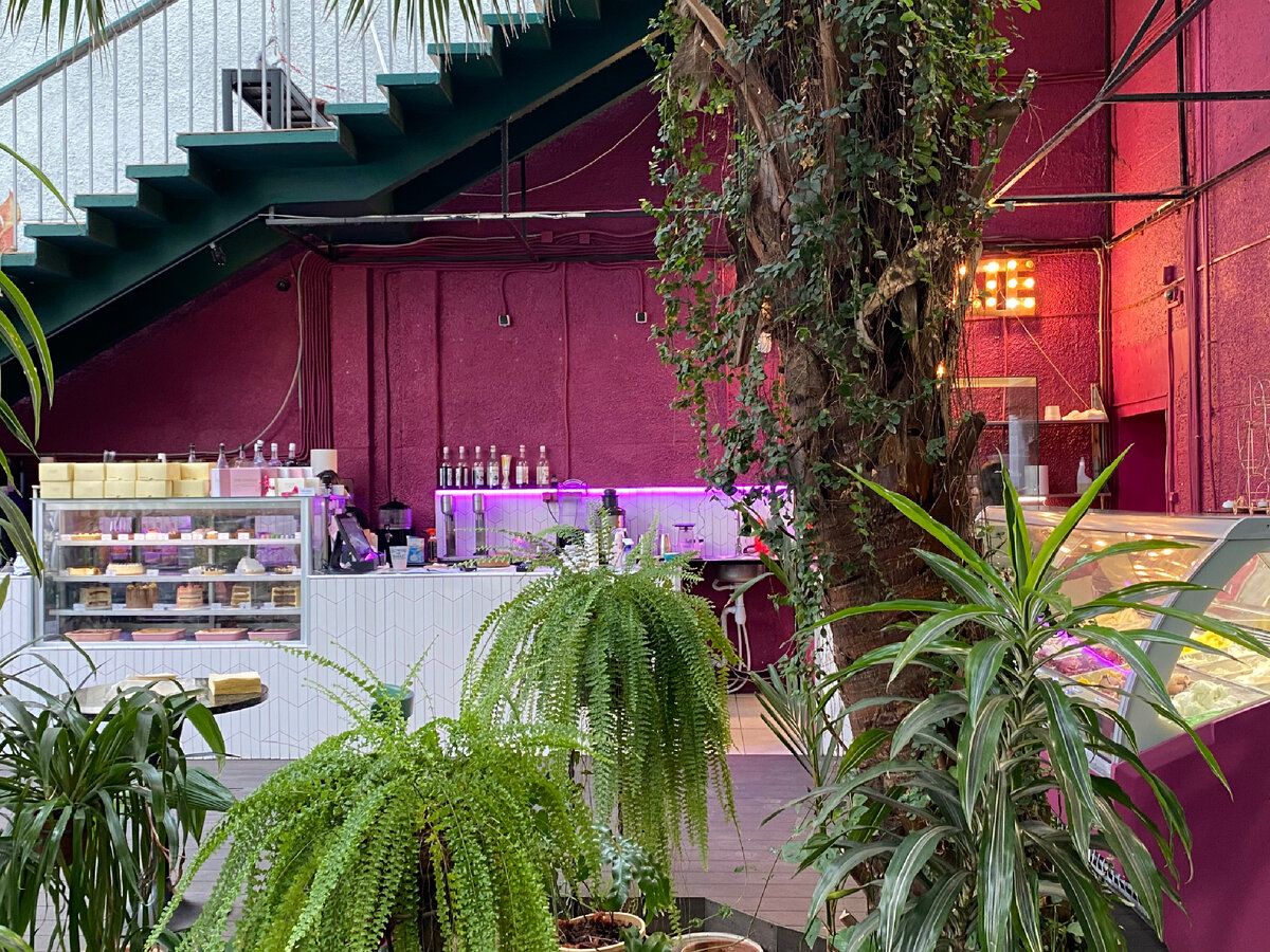 Chocolate Bar Secret Garden