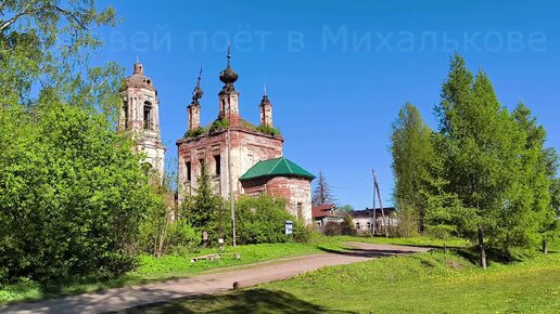 Соловей поёт в Михалькове