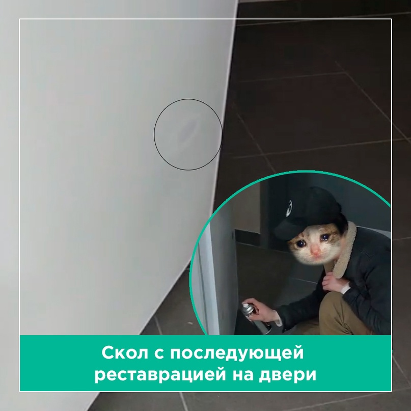 «Я нимагу нормально заменить дверь, у миня лапки..»