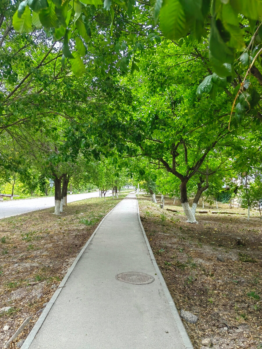 Люблю пройтись одна по улицам родного города