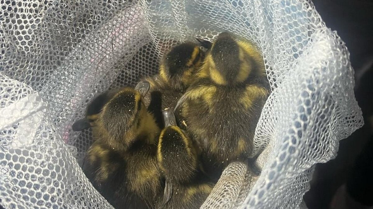 Фото: vk.com/palachev_m_a