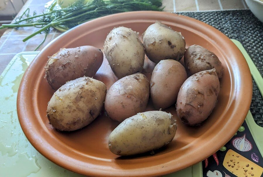 Молодой картофель для окрошки, сваренный в мундире. Фото автора