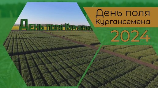 День поля Кургансемена - 2024