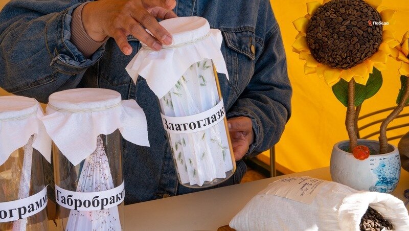    Для борьбы с вредителями также используют насекомых Фото: Борис Московкин / / ИА «Победа26»