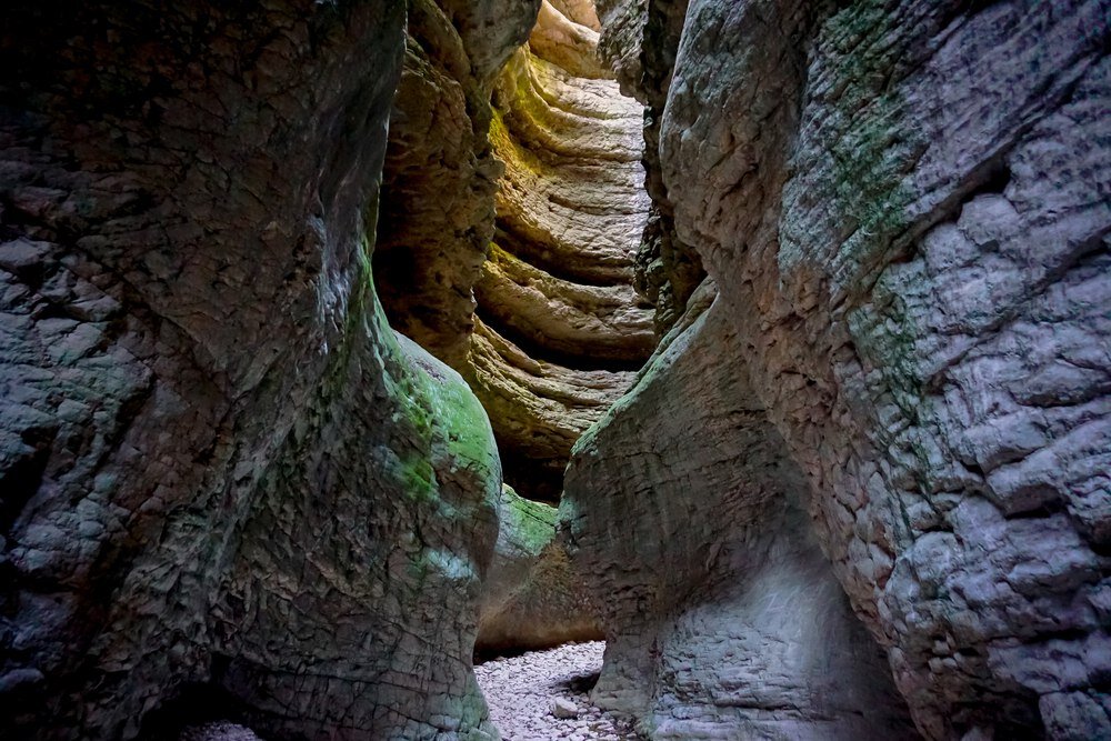 Фото: pavelvero / Фотобанк Фотодженика