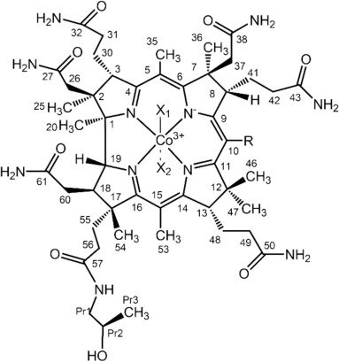  Работа «meso-Brominated nitrosylcobinamides: Nitric oxide release and oxidation by dioxygen» опубликована сотрудниками кафедры ТППиБТ и Института химии растворов им. Г.А. Крестова.