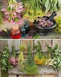 универсальные народные рецепты