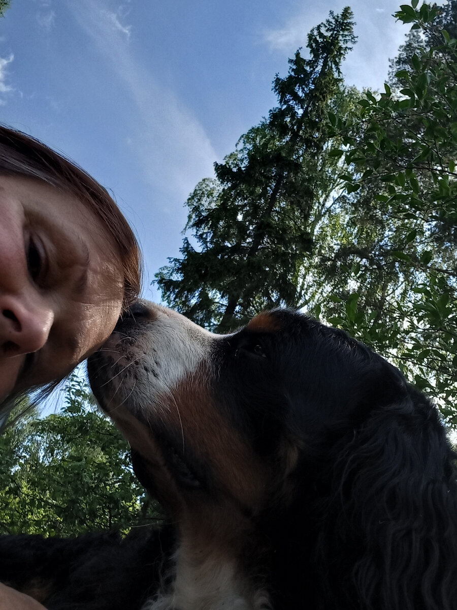 Мой пес Волька... Навсегда!