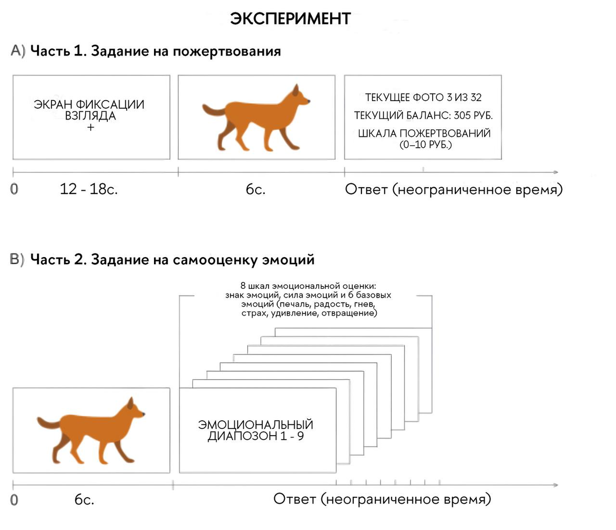 Схема эксперимента// Источник: авторы исследования
