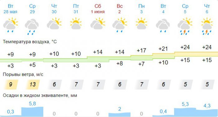 Скриншот: gismeteo.ru