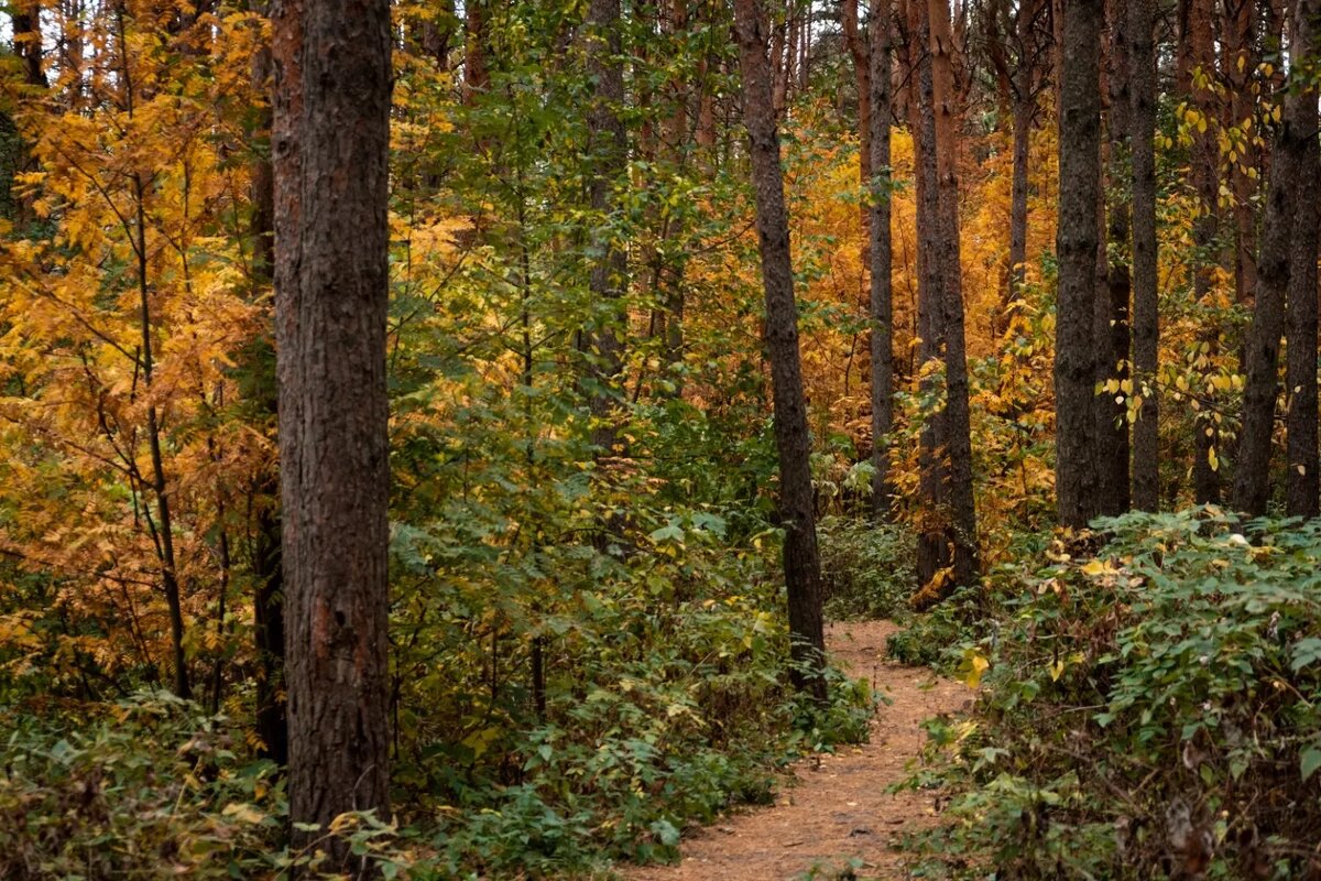     Источник: 1MI