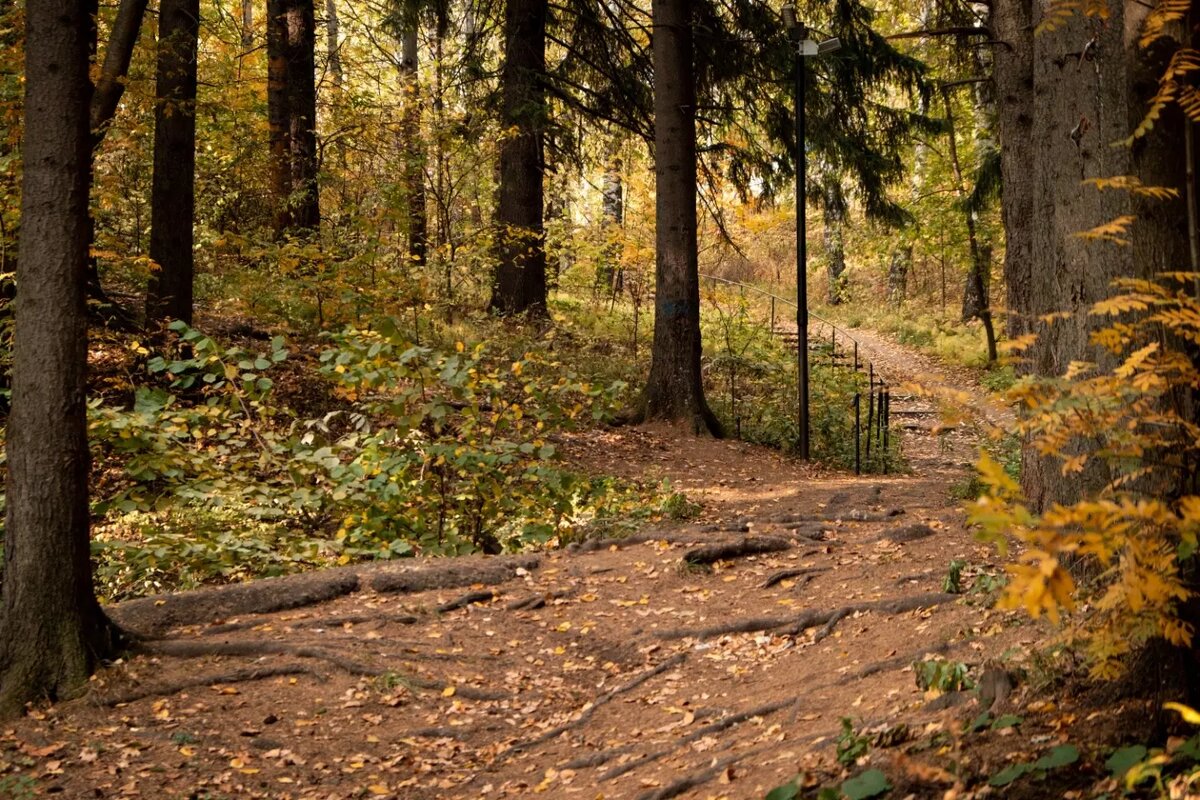     Источник: 1MI