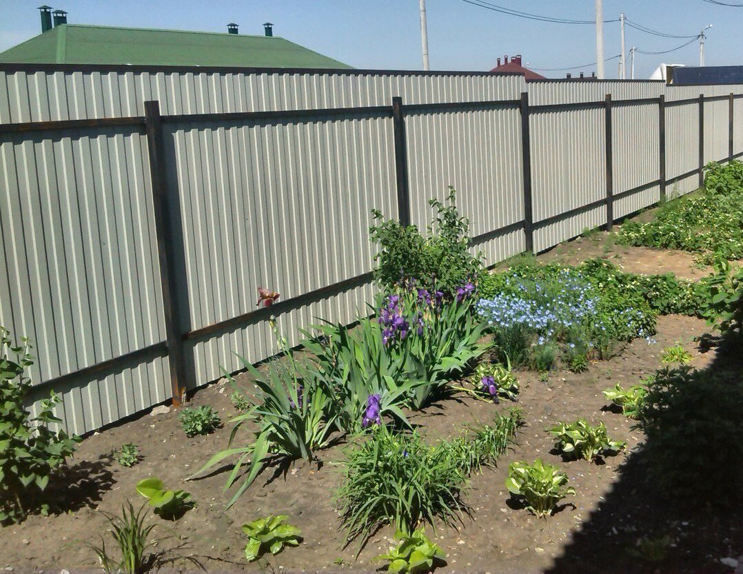 Цветы на участке с тенью от дома