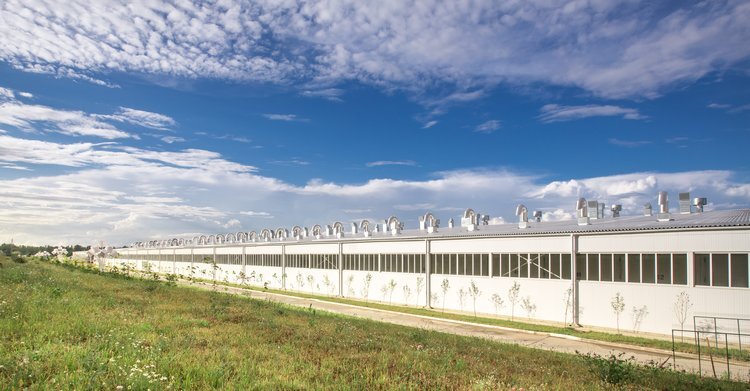 Компания Удодова и Логвинова построена в чистом поле под Курском📷    «Грибная радуга» добавляет рынку позитива
