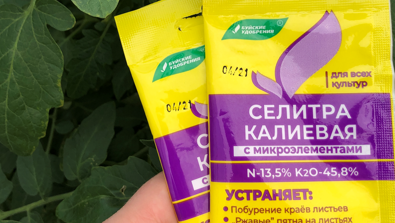 "Калиевая селитра для томатов": примените раствор для подкормки ...