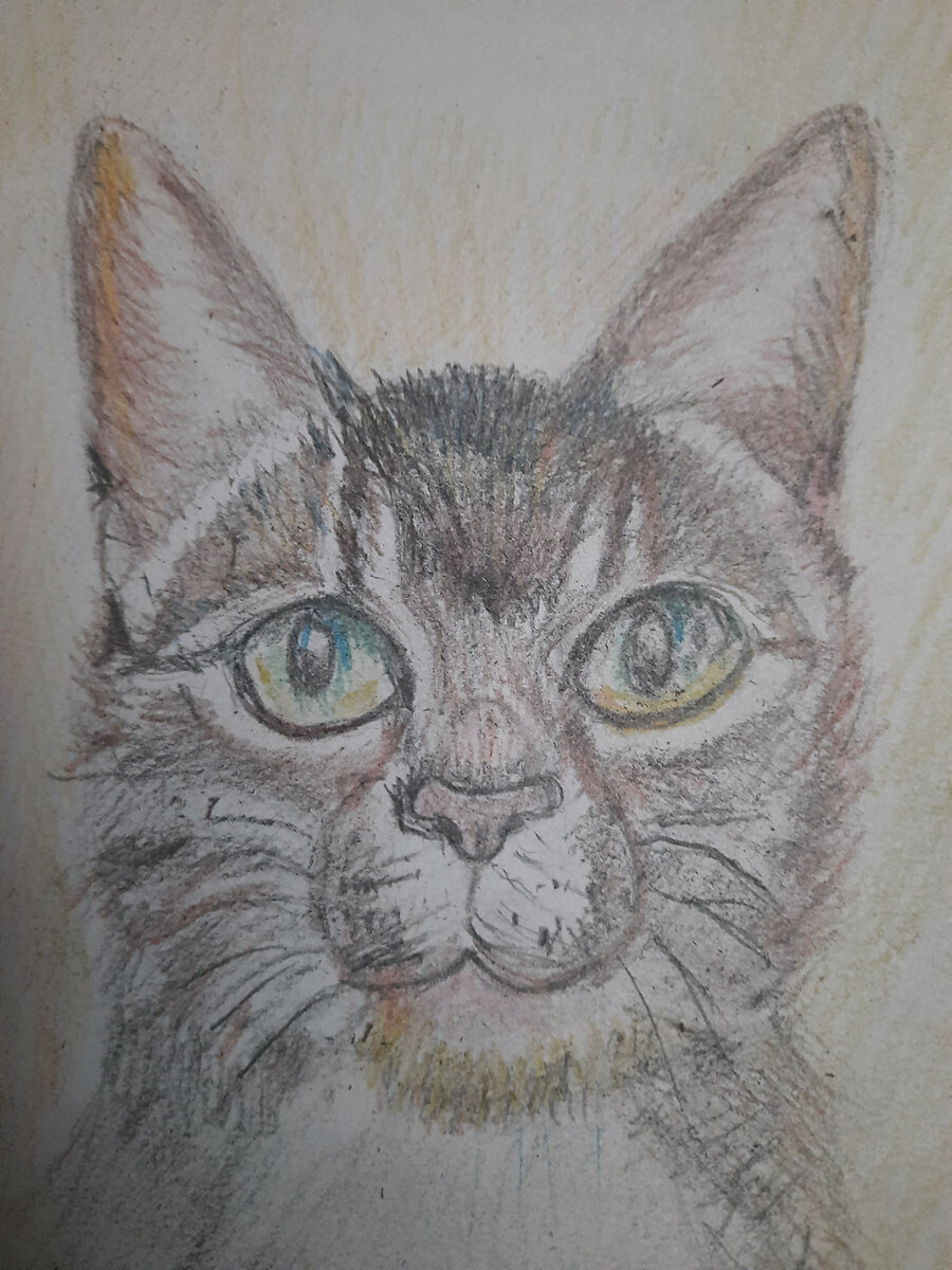 
«Я недавно беседу имел с котом,
Так как кот в настроении был как раз.
Он сказал, что нет никакого «потом» —
Лишь «сейчас и здесь», только «здесь и сейчас». (Из ваших комментариев) Автор С. Плотов