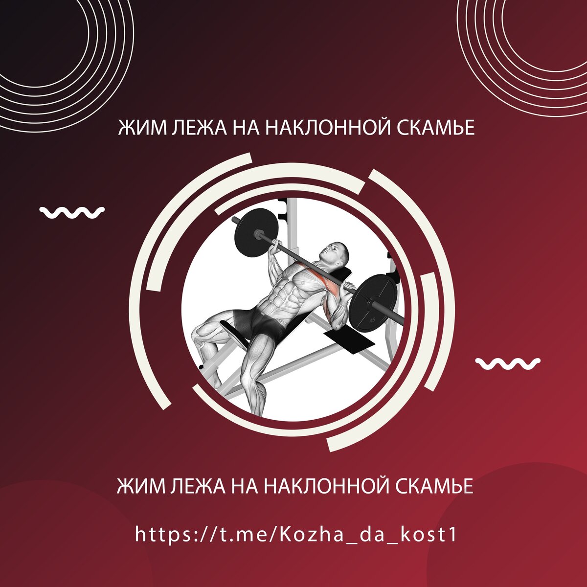 Жим лежа на наклонной скамье. Техника выполнения | КОЖА ДА КОСТИ | Дзен
