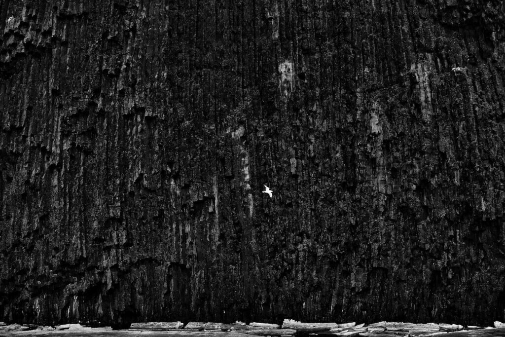 Фото: Матвей Павлюкевичус