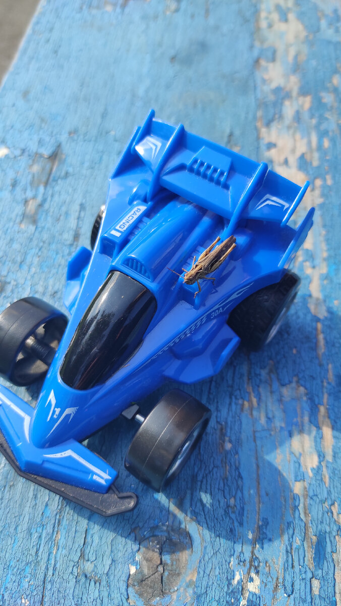  Я все- все понимаю. Но где взять первых 10 - нет.