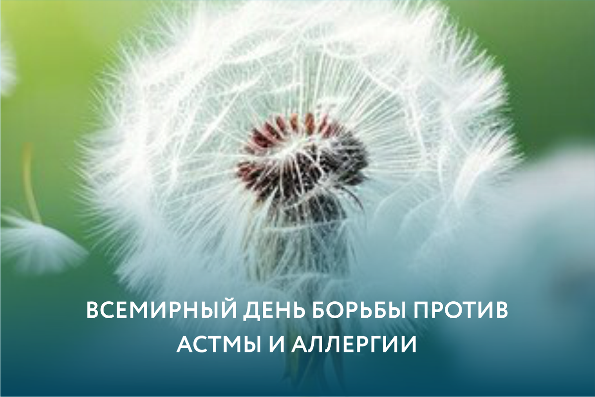 30 мая – Всемирный день борьбы против астмы и аллергии | Клиника  инфузионной терапии АМПУЛЛАМЕД | Дзен