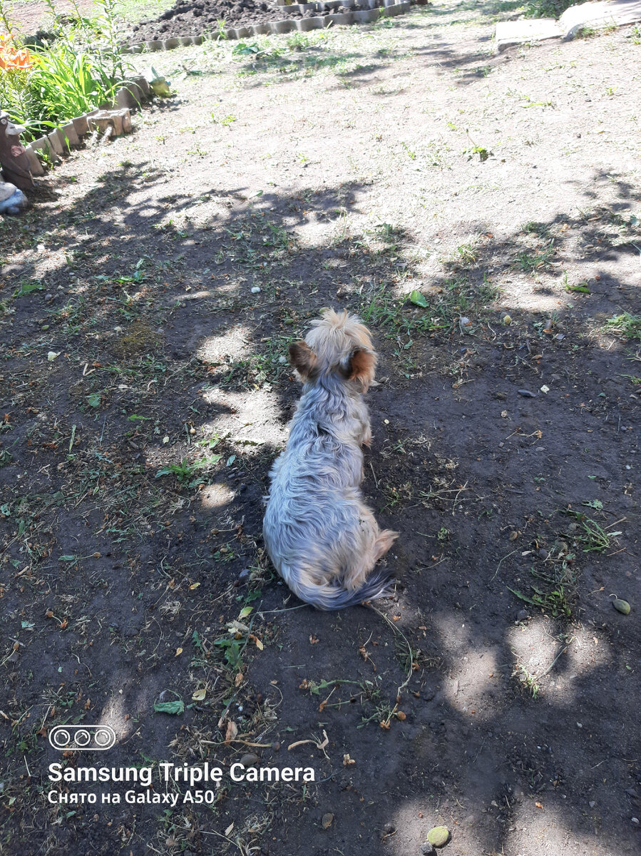 Степа отдыхает💖