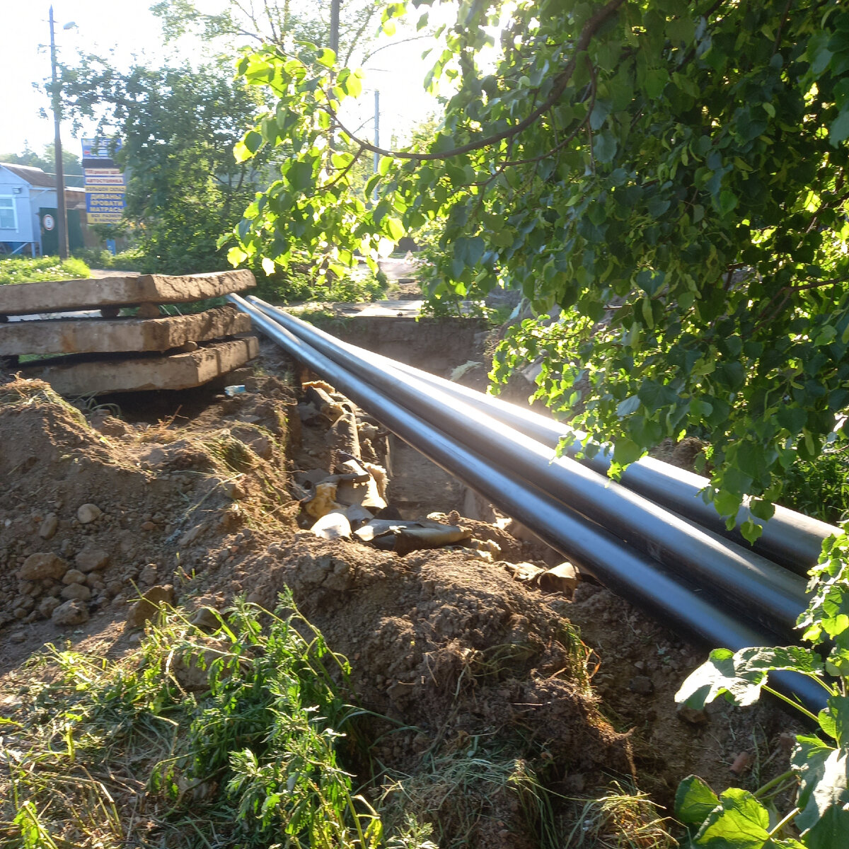 Фото автора канала