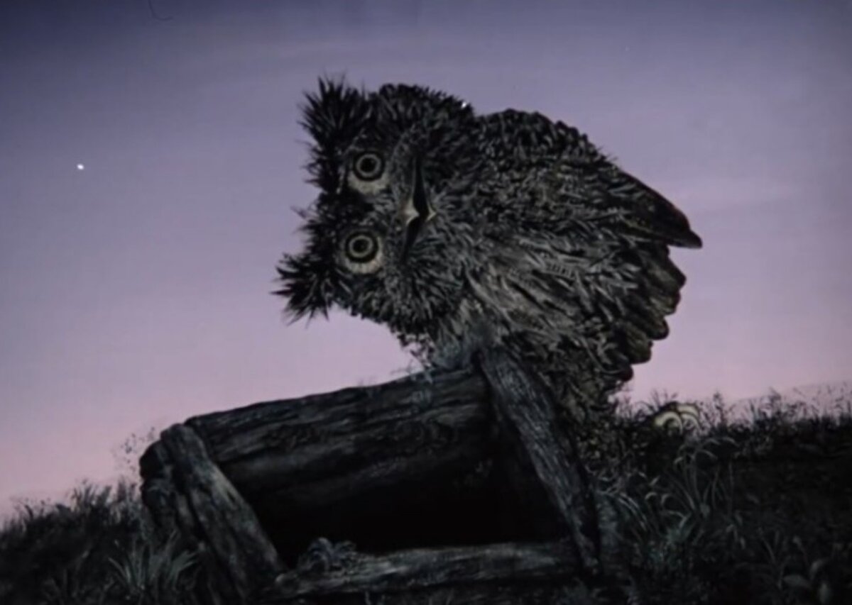  Кадр из мультфильма «Ежик в тумане»