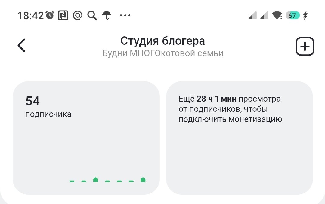 Скрин из студии Дзен (22.05.24)