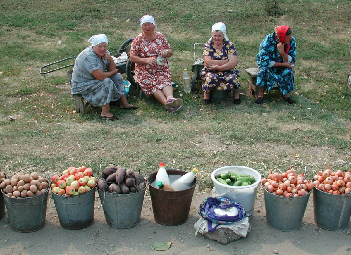 За картошку на даче – штраф: Юрист объяснила, кому стоит готовить деньги |  Царьград | Дзен