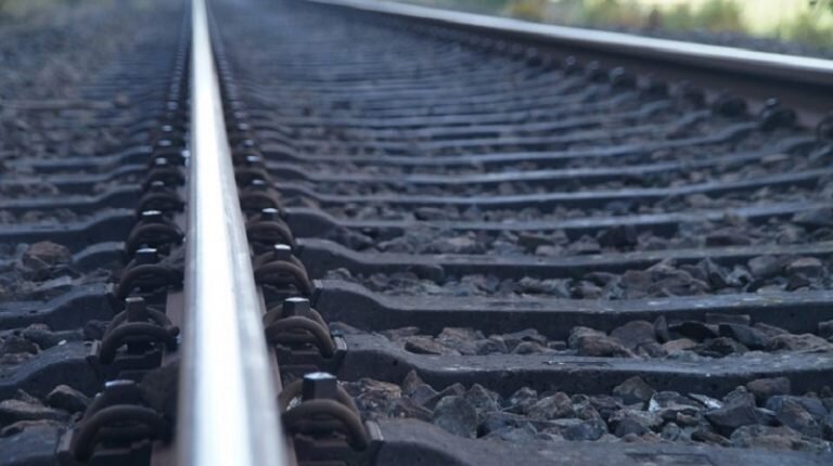    Фото: Pixabay / Monsterkoi Алина Колупаева