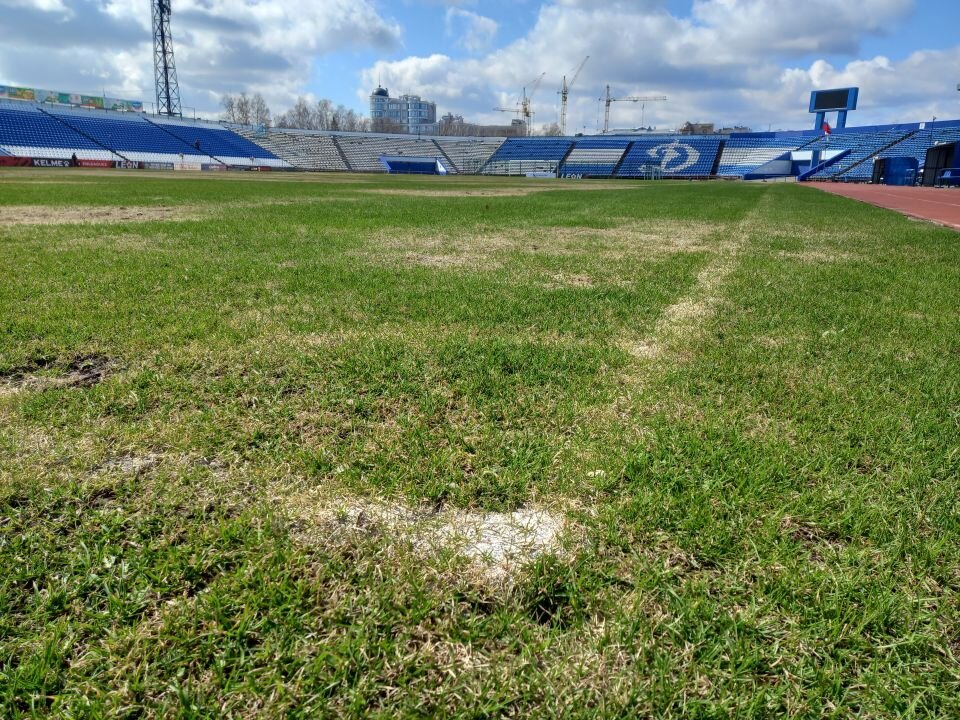    Барнаульский стадион "Динамо". Источник: Алексей Кучерявых