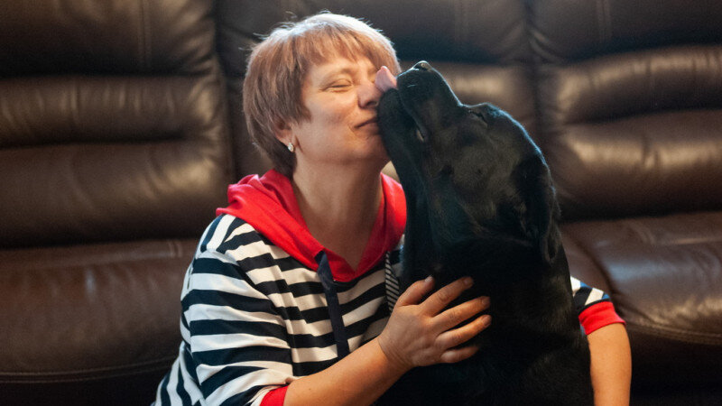     Питомник лабрадоров-ретриверов в Барнауле. Дмитрий Лямзин