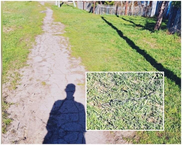    Фото - газета "За изобилие". Коллаж VN.ru