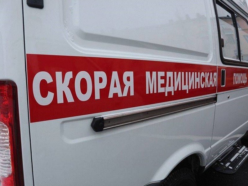    Фото: onlinevologda.ru