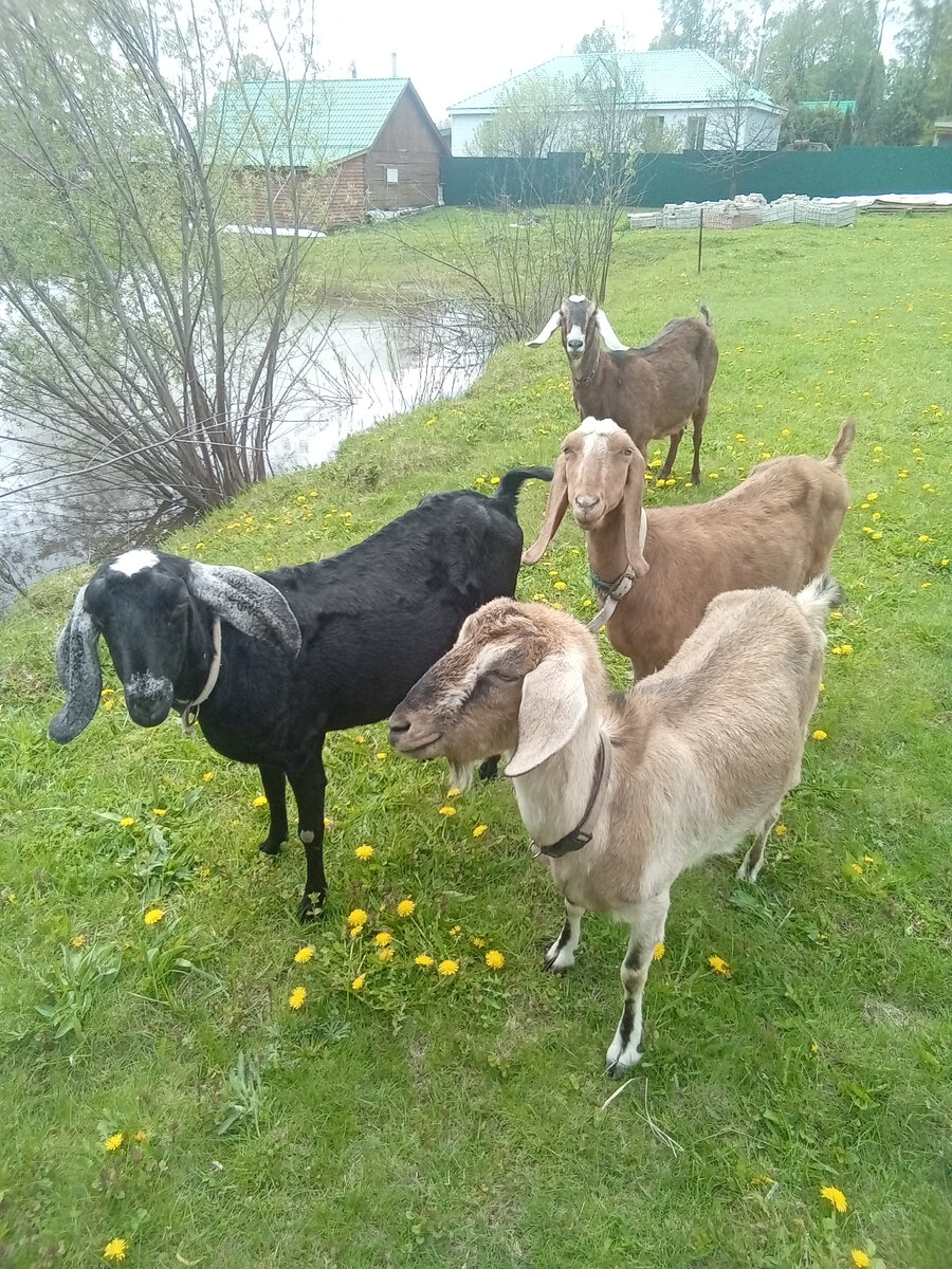 Фото автора. 