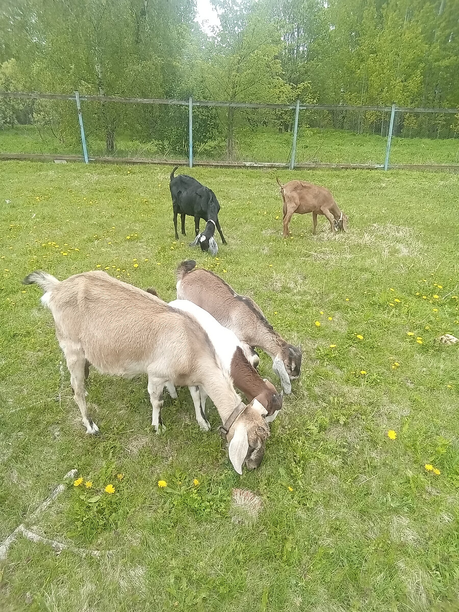 Фото автора. 