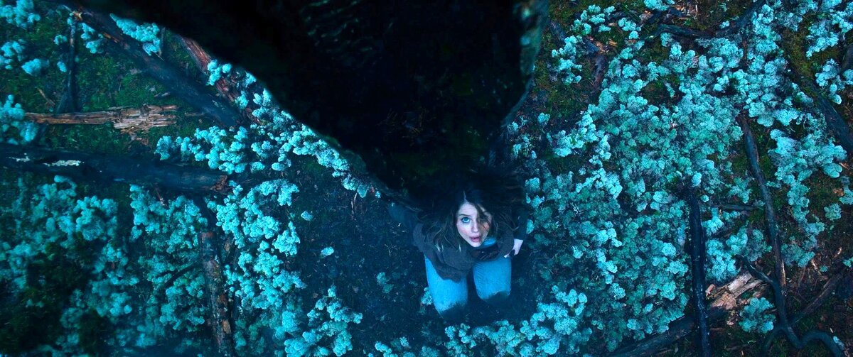 К/ф «Отражение тьмы».