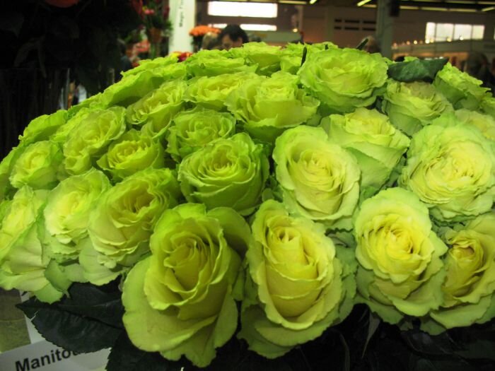 Фото из Интернета