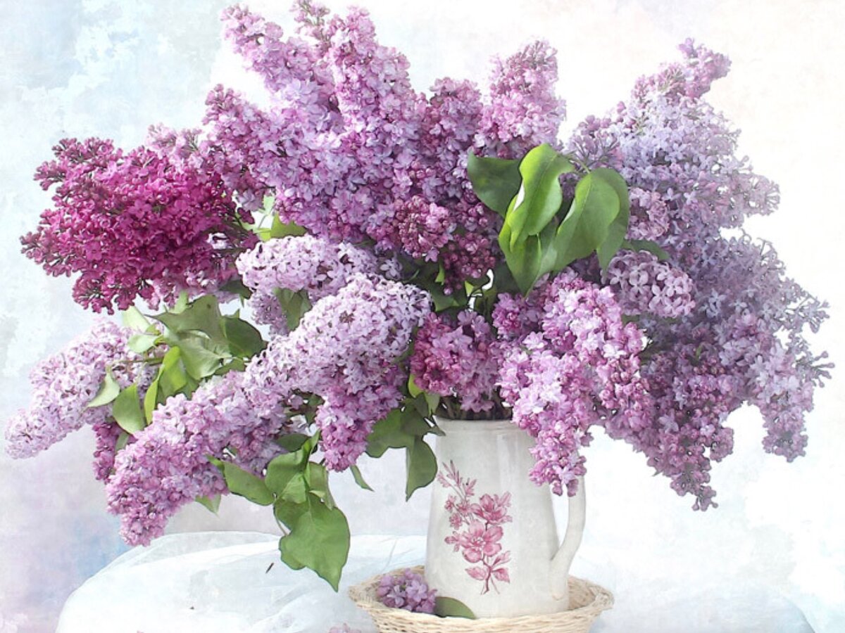 Фото из Интернета.